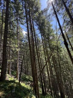 Photo de Moonytiger le long du parcours