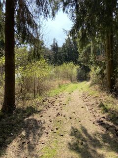 Fotografie z Attila Mihalcz na trase