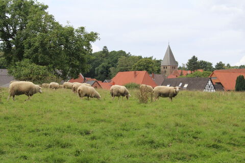 Clemenskirche Marklohe