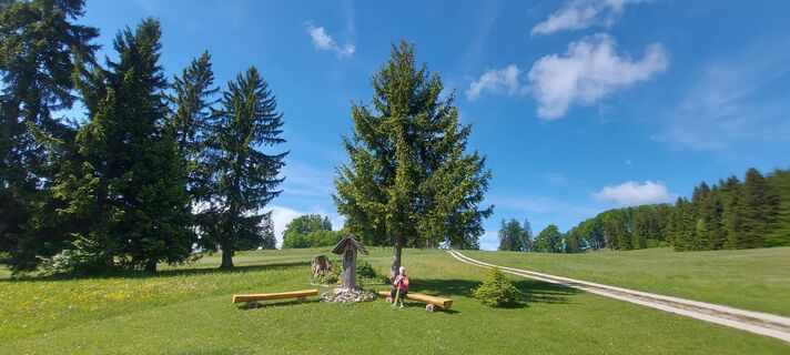 Foto von Klaus Gruber 3 entlang der Tour