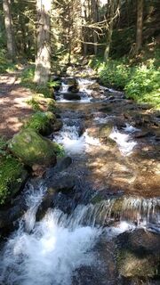 Fotografia z Bergpirat na trase