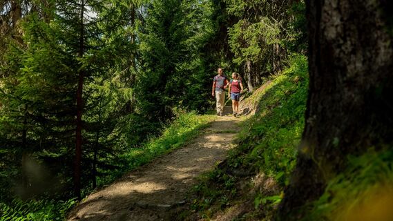Gommer Höhenweg