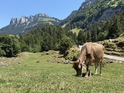 Foto von Daniel Herz entlang der Tour