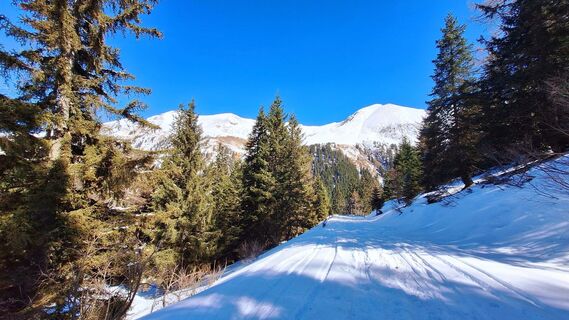Foto de Regina Fleischmann a lo largo del recorrido