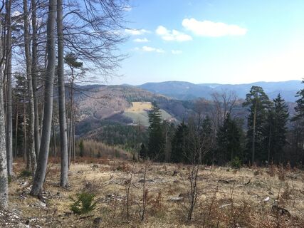 Blick Richtung Norden - Hocheck, im Vordergrund die Gehöft Berg.