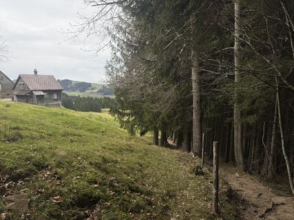 Foto von Fábi entlang der Tour