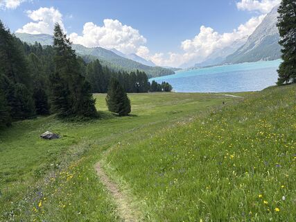 Foto von Maria Kammermann entlang der Tour