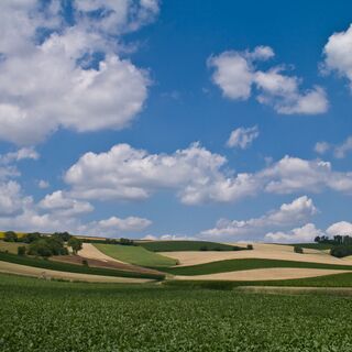 Sanfte Hügel im Weinviertel