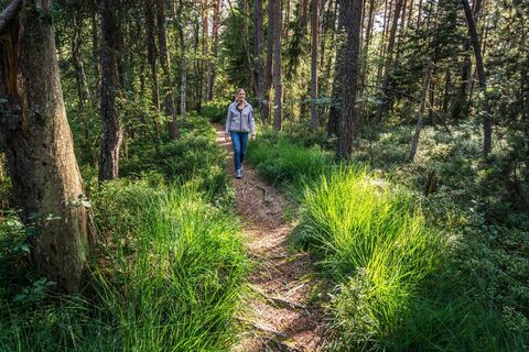 Ein schmaler Pfad entführt den Besucher in die Moorlandschaft.