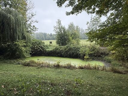 Foto de Norbert Herbig a lo largo del recorrido