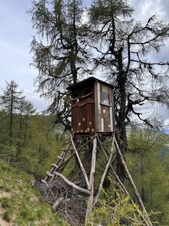Foto von Sven Krebs entlang der Tour