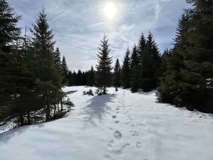 Fotografia z Daniel Zikmund na trase