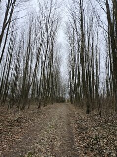 Fotografia z garrincha na trase