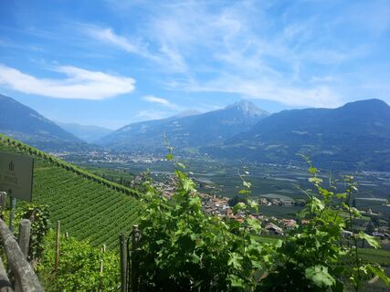 Fotografia z Markus sasse na trase