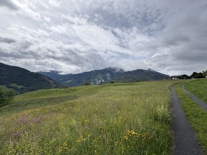 Fotografia z Johann Püringer na trase