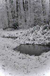 Zdjęcie z Kellner Heidi wzdłuż trasy