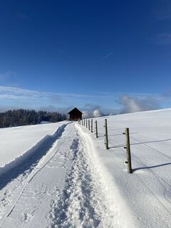 Foto fra Richard Bronold underveis på turen