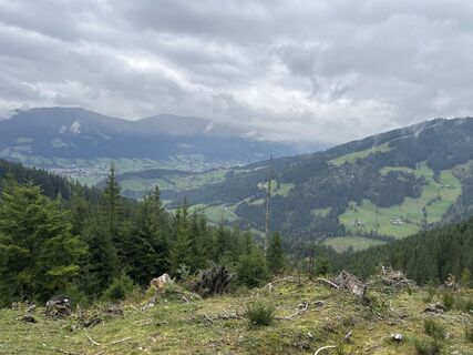 Foto de Falk Drechsel a lo largo del recorrido