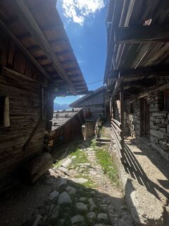 Foto von Maximilian Hübner entlang der Tour