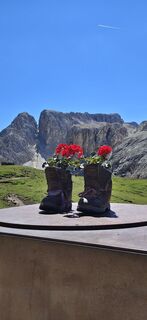 Fotografia z Albert Knollseisen na trase