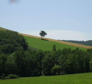 Landschaft