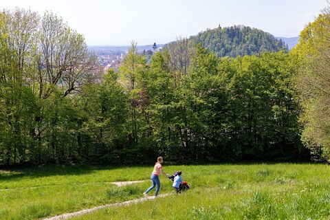 Rosenhain - Mariagrün (c) Graz Tourismus - Harry Schiffer