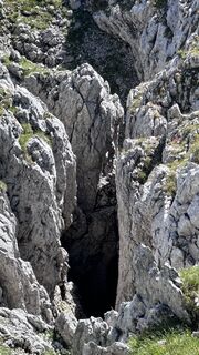 Foto von Mountain Cat ? ⛰️ entlang der Tour