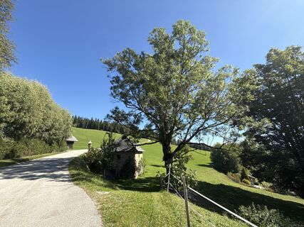 Foto von PatrickVonGurk entlang der Tour