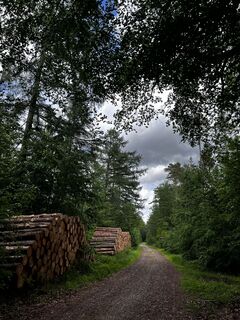 Photo de Harald Engel le long du parcours