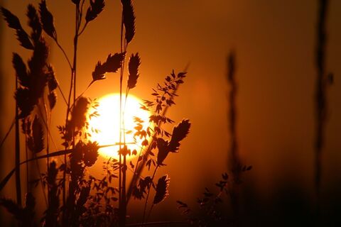 Sonnenuntergang in der 2-Thermenregion