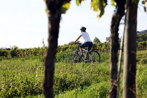 Radfahren in der Region Traisental-Donau