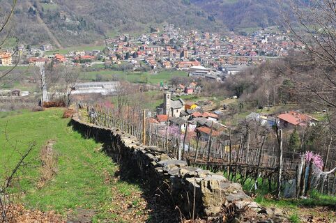 Cesarino-Castagna-Weg