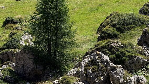 Foto von Marta Żebrowska entlang der Tour