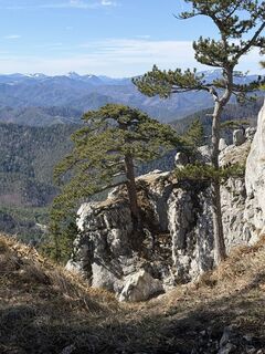 Fotografija s spletne strani Kate Rusakova na poti