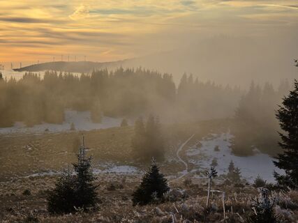 Foto von TwilightTea entlang der Tour