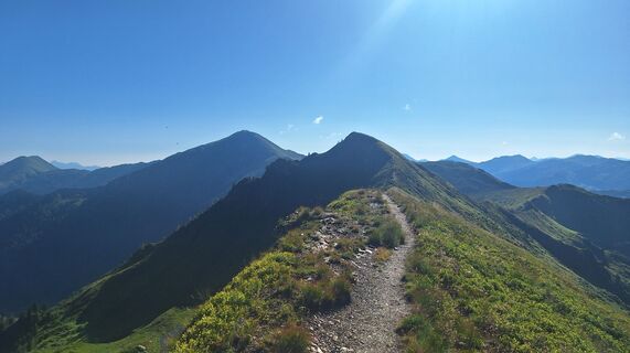 Fotografija s spletne strani Regina Fleischmann na poti
