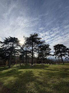 Photo from RS76 along the tour