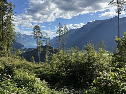 Fotografija s spletne strani Kurt Von  Kurt na poti