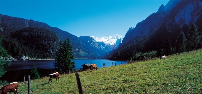 Vorderer Gosausee