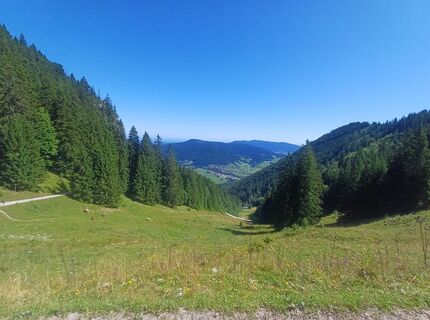 Photo de Marion Sperlich le long du parcours