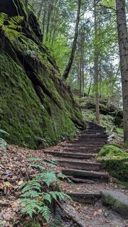 Fotografia z hochlandfamilie na trase