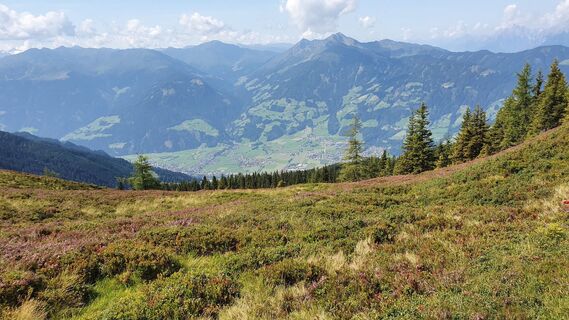 Fotografie de la Gerrit van der Linde de-a lungul turului