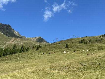 Photo de kristof vanhees le long du parcours