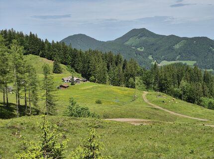 Foto von Alfred Thaler entlang der Tour