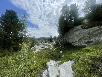 Photo de Thierry Ador le long du parcours