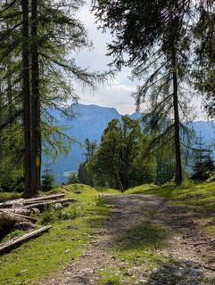 Fotografija s spletne strani Phil na poti