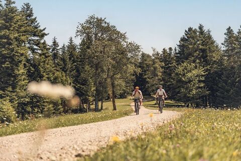 Wiental Elsbeere Tour im westlichen Wienerwald