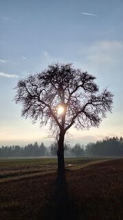 Fotografia z HeleneEcker na trase
