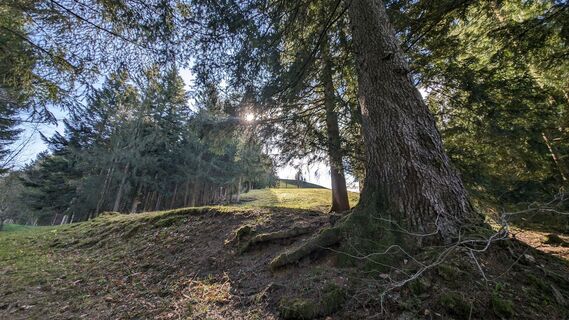 Fotografie z Klaus Lehner na trase