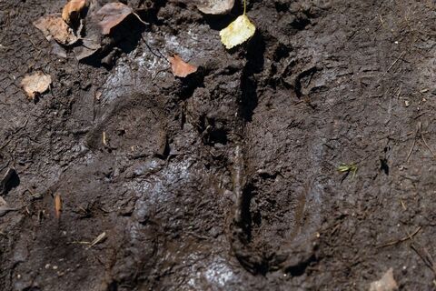 Barfußlehrpfad Bad Bayersoien